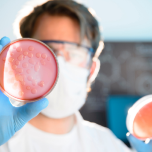 Control de calidad en ensayos microbiológicos