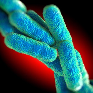 Legionella spp. by culture (ISO 11731:2017): Key Steps to Achieve ISO 17025 Accreditation